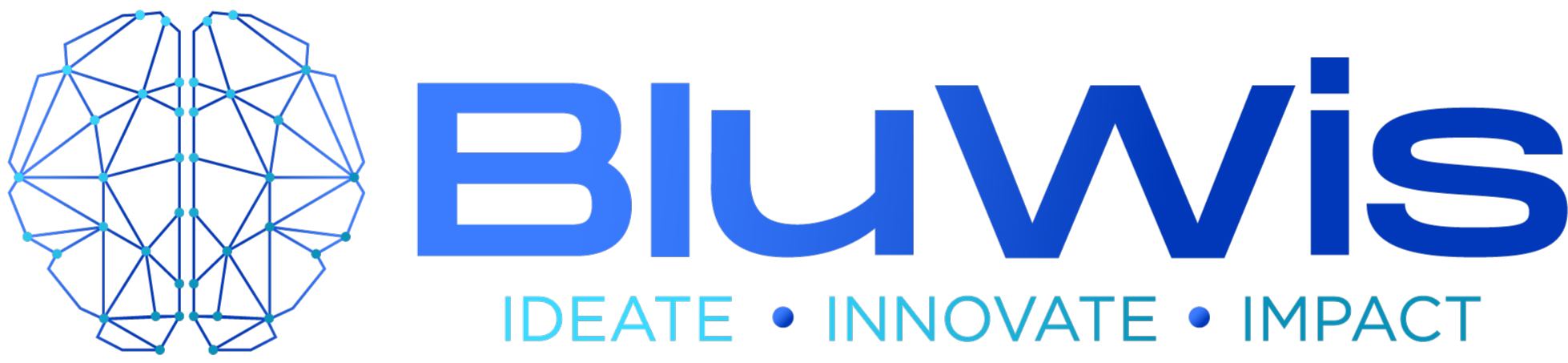 BluWis logo