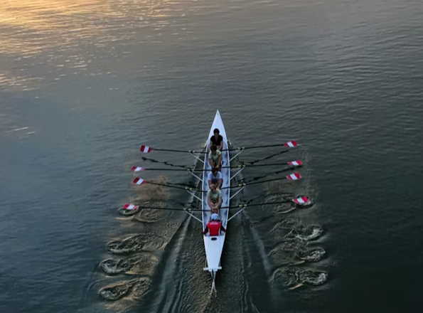 BluWis leadership team